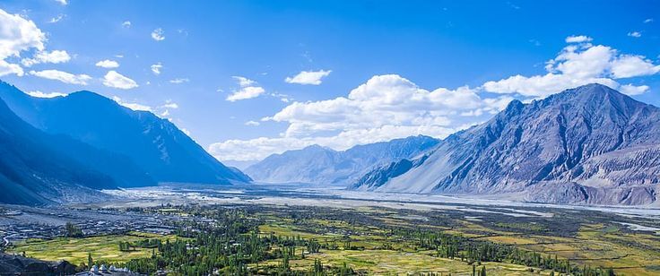 hd wallpaper india, ladakh, leh ladakh (northern range trek n tour), trees